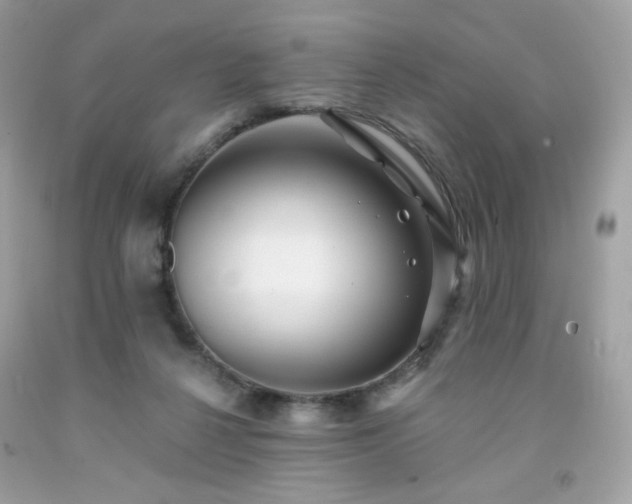 X0000091930264200709121605