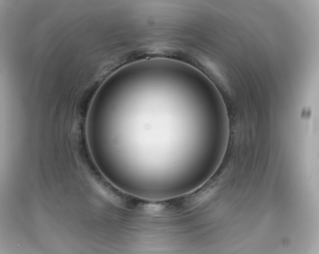 X0000091930265200709121605