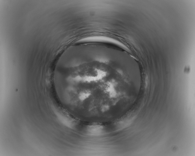 X0000091930266200709121605