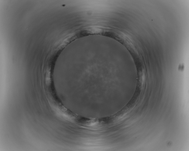 X0000091930267200709121605
