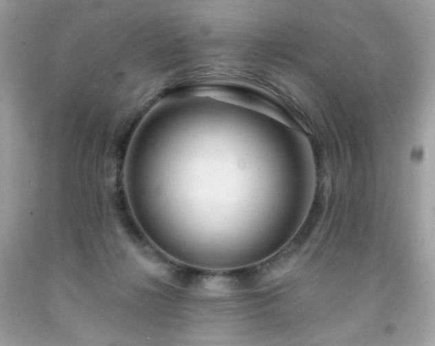 X0000091930268200709121605