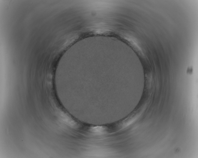 X0000091930269200709121605