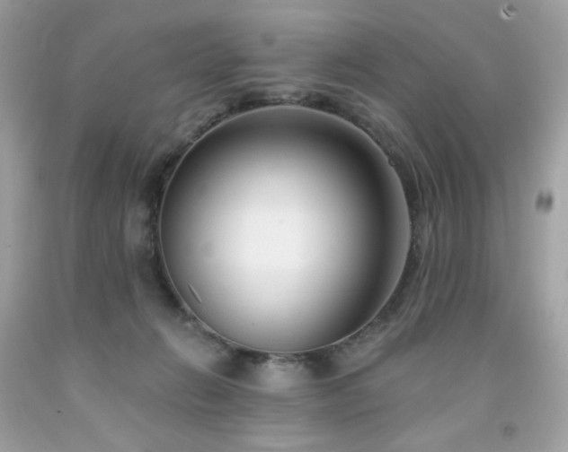 X0000091930270200709121605