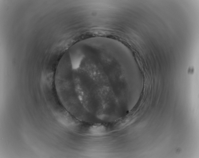 X0000091930271200709121605