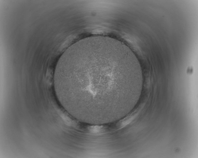 X0000091930273200709121605