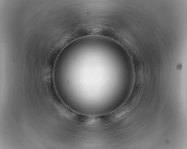 X0000091930274200709121605
