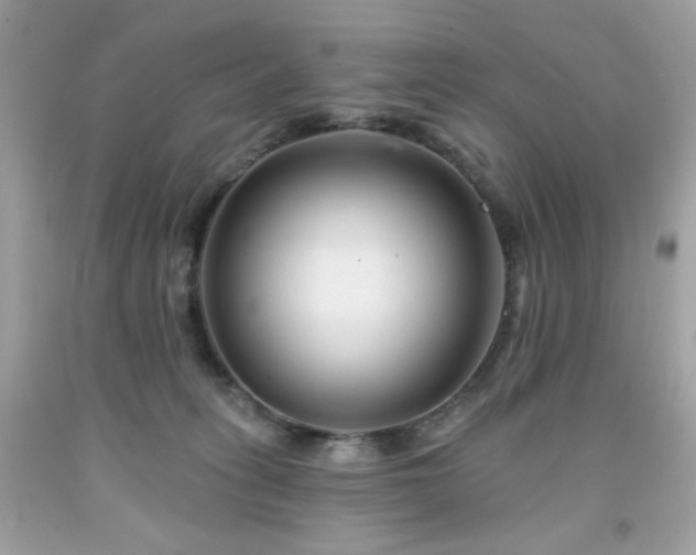 X0000091930275200709121605