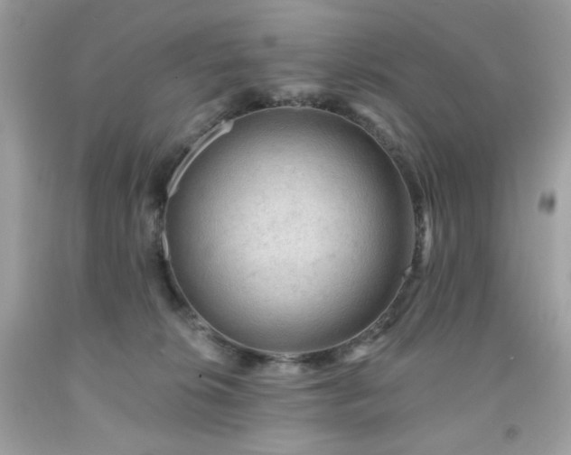X0000091930276200709121605