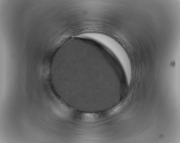 X0000091930277200709121605
