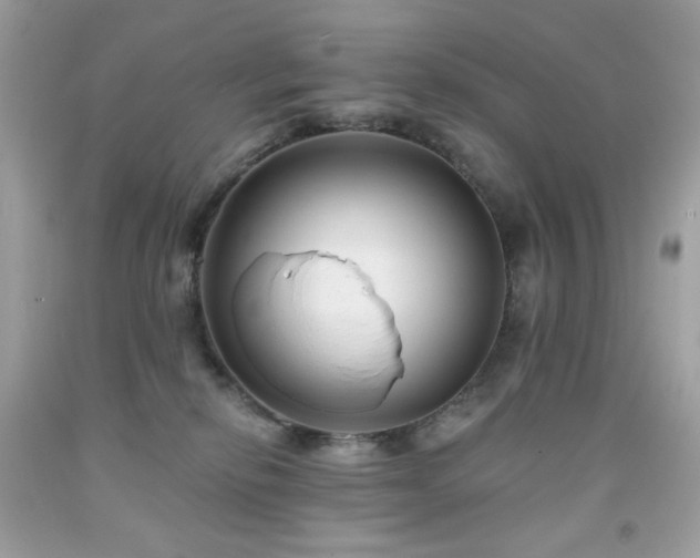 X0000091930278200709121605