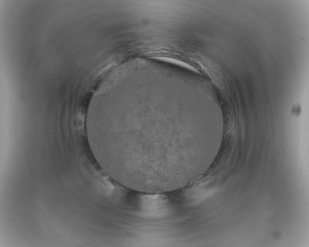 X0000091930281200709121605