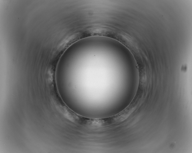 X0000091930282200709121605