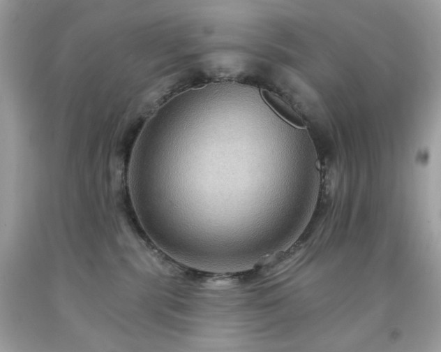 X0000091930283200709121605