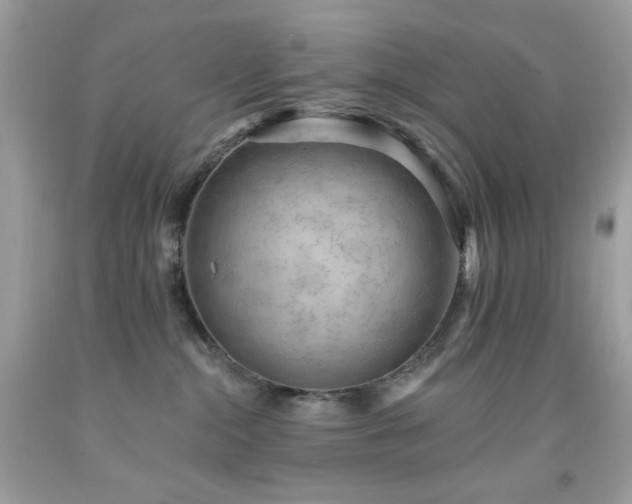 X0000091930284200709121605