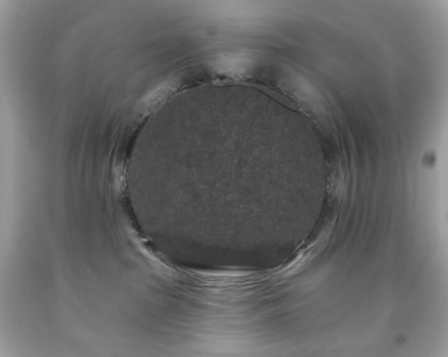 X0000091930285200709121605