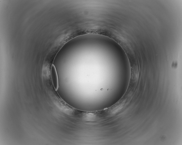 X0000091930287200709121605
