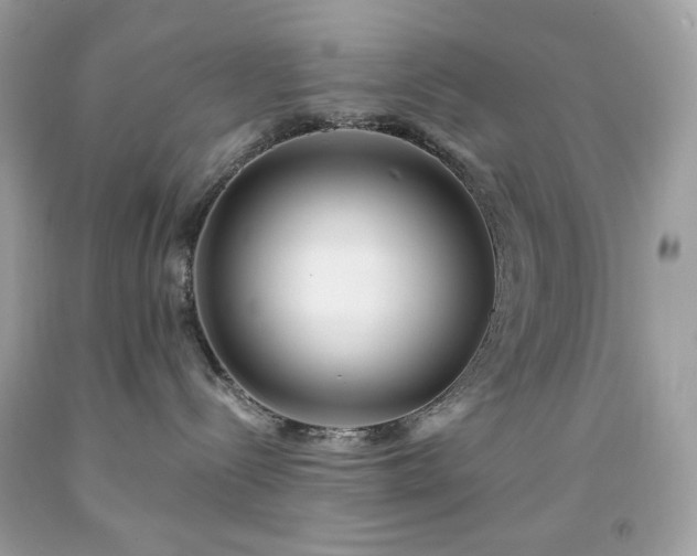X0000091930288200709121605