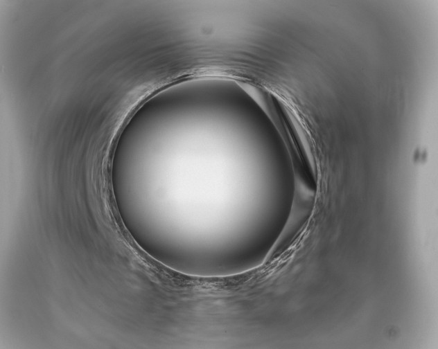 X0000091930289200709121604