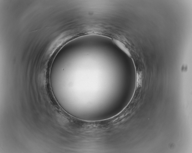 X0000091930291200709121604