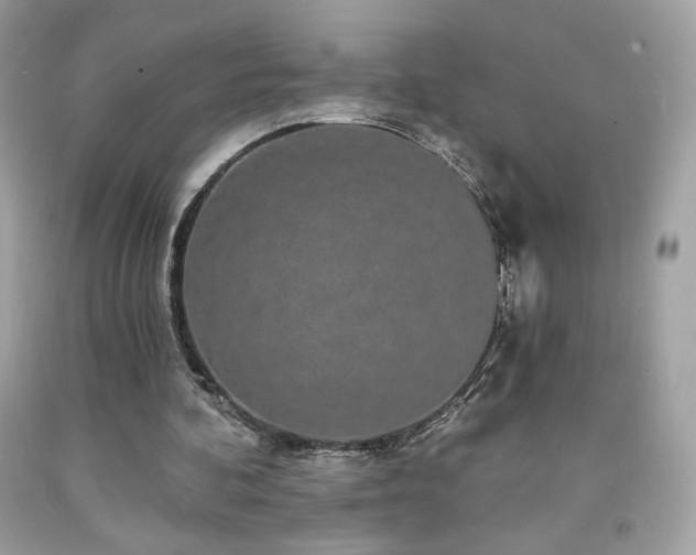 X0000091930292200709121604