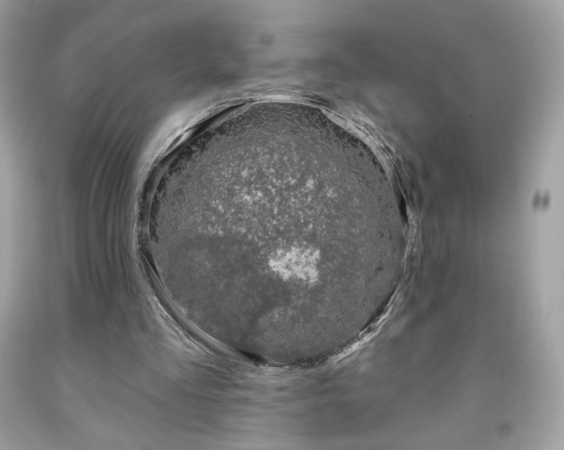 X0000091930293200709121604