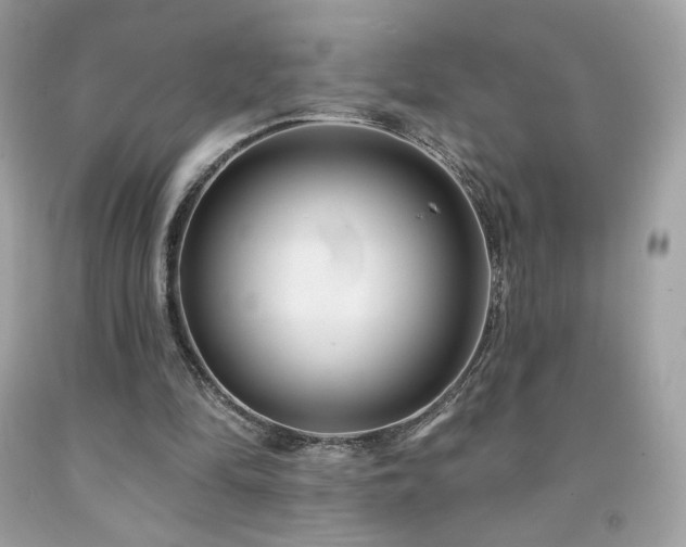 X0000091930294200709121604