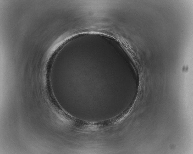 X0000091930295200709121604