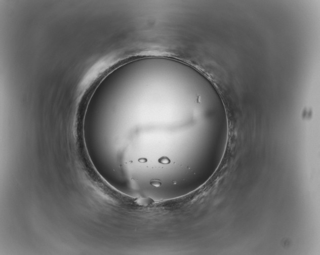 X0000091930296200709121604