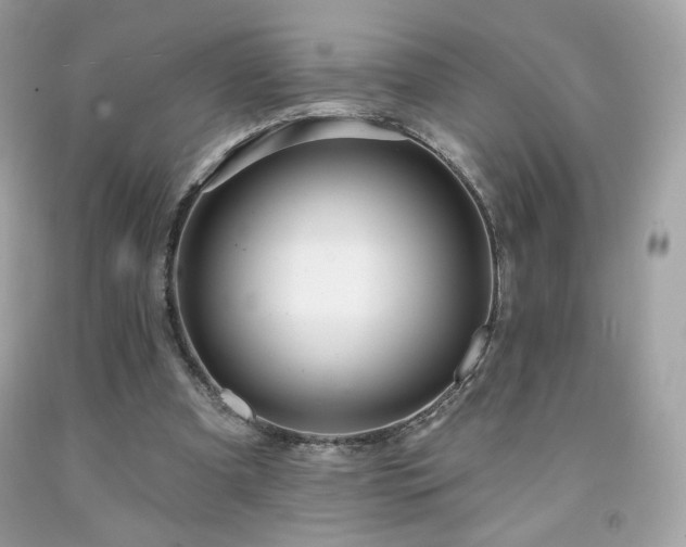 X0000091930297200709121604