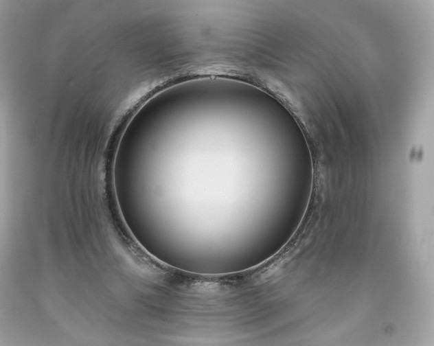 X0000091930298200709121604