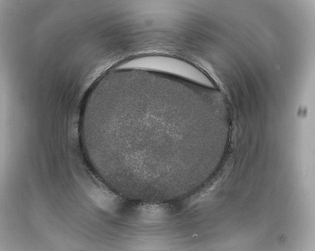 X0000091930299200709121604
