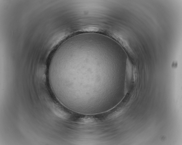 X0000091930300200709121604