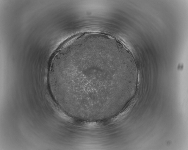 X0000091930301200709121604