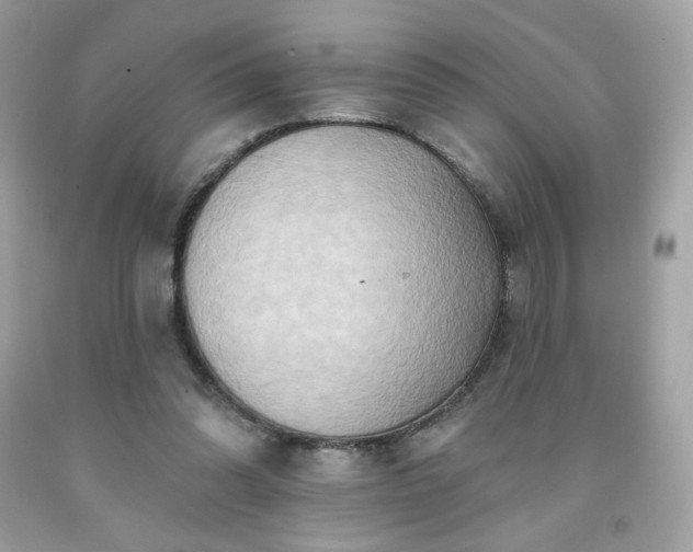 X0000091930302200709121604