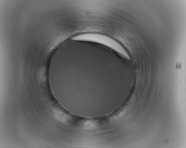 X0000091930303200709121604