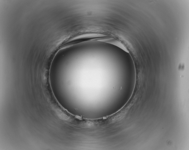 X0000091930305200709121604