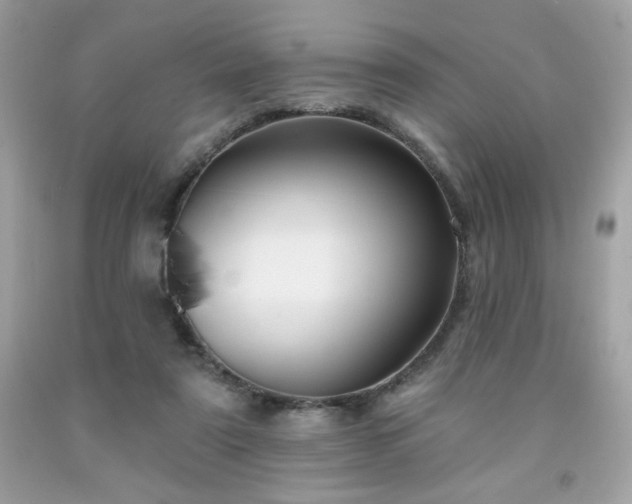 X0000091930307200709121604