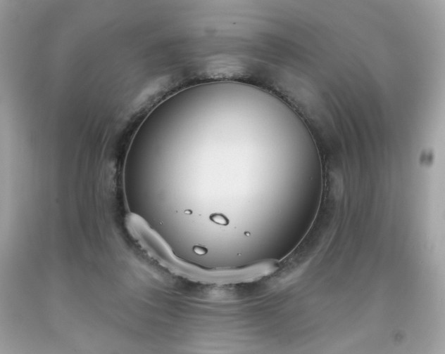 X0000091930308200709121604