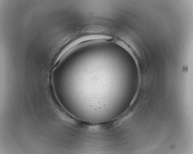 X0000091930309200709121604