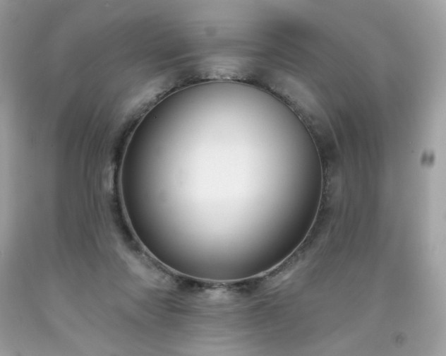 X0000091930310200709121604