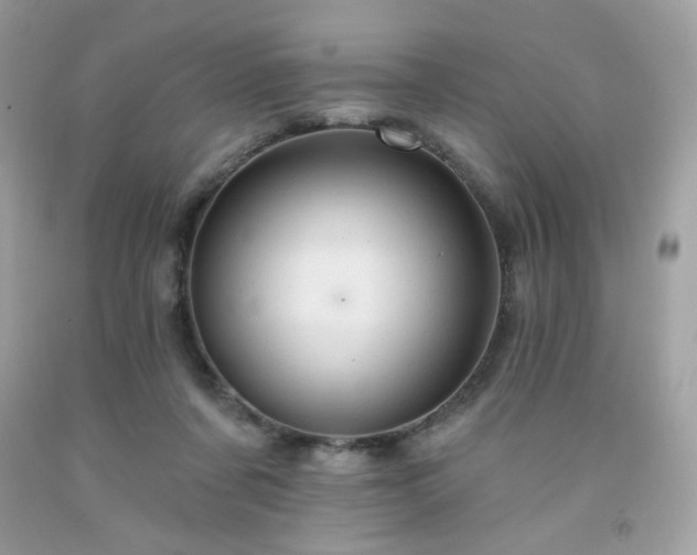 X0000091930311200709121604