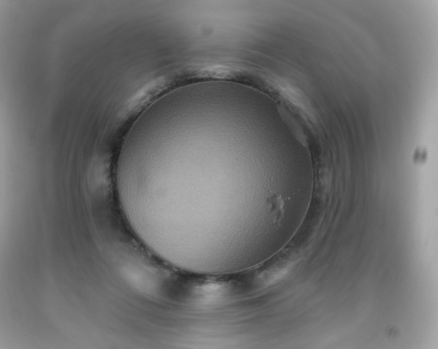 X0000091930312200709121604