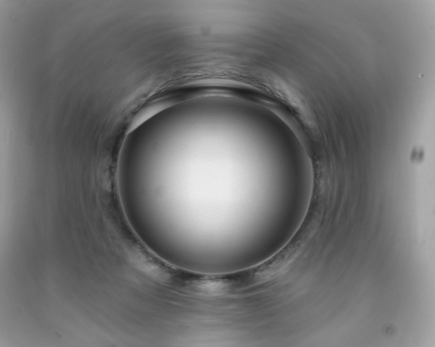 X0000091930313200709121604