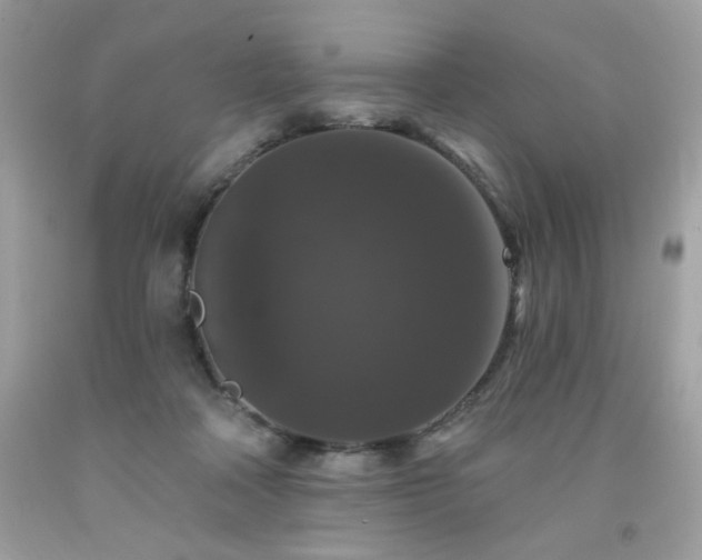 X0000091930314200709121604
