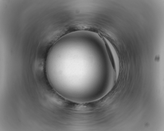 X0000091930315200709121604