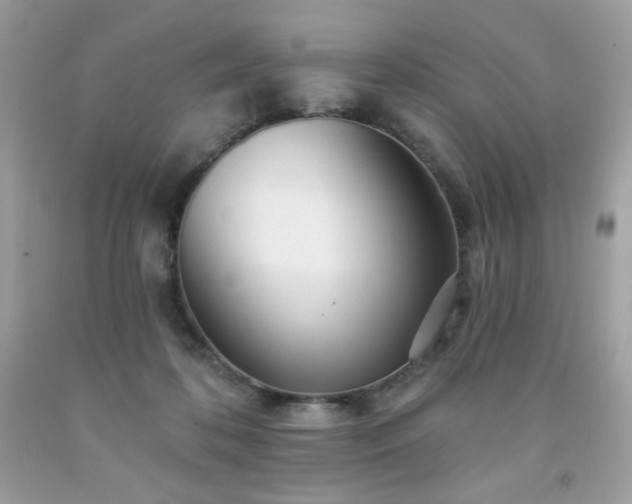 X0000091930316200709121604