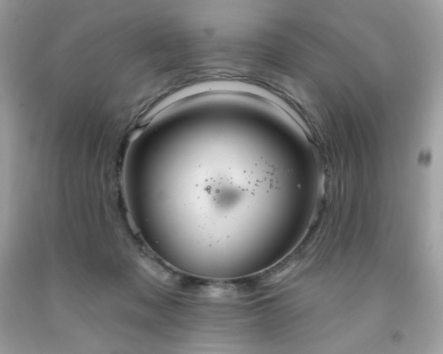 X0000091930317200709121604