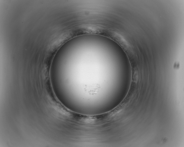 X0000091930318200709121604