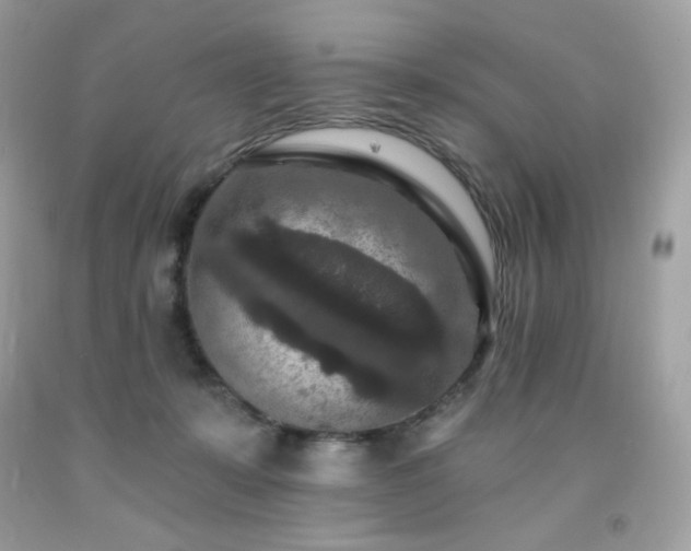 X0000091930319200709121604