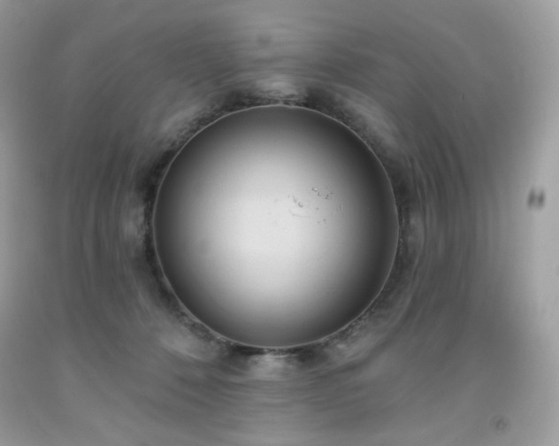 X0000091930320200709121604